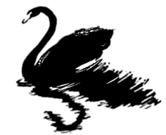 Black Swan Healing LLC Logo